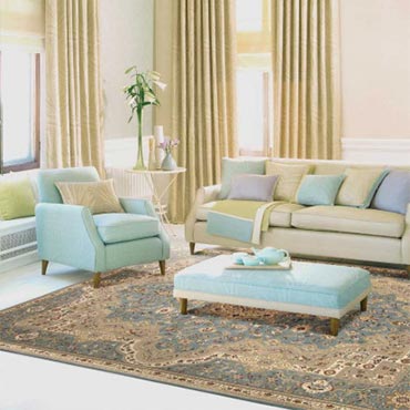 Nourison Traditional Rugs